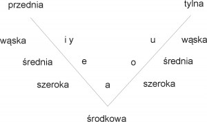 trójkąt-samogłoskowy2